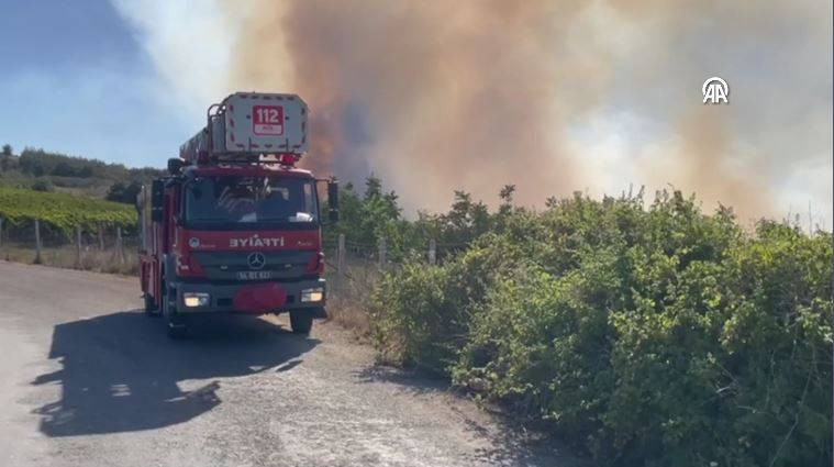 Sakarya'da orman yangını - Resim: 10